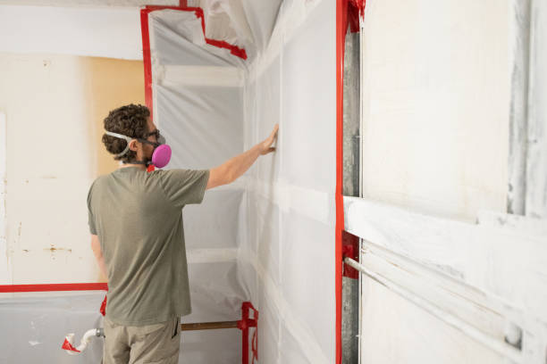 Professional Mold Removal in El Centro, CA